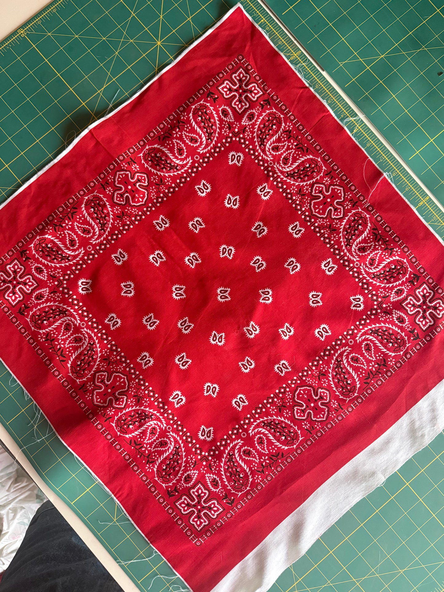 Raw Bandana Cuts
