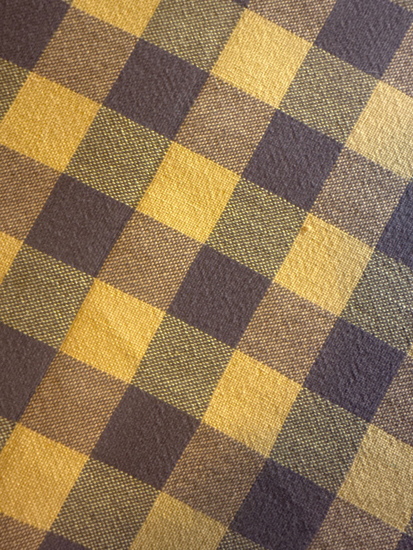 Vintage Checkered Tablecloth